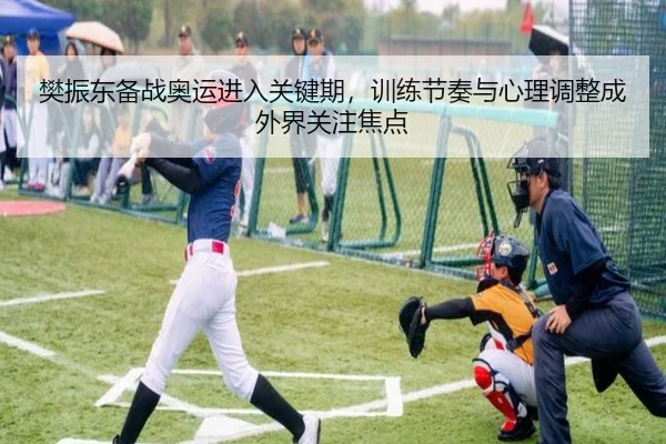 樊振东备战奥运进入关键期，训练节奏与心理调整成外界关注焦点 - hth